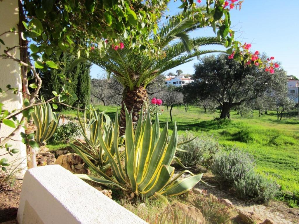 Quinta Mimosa Loule Room photo
